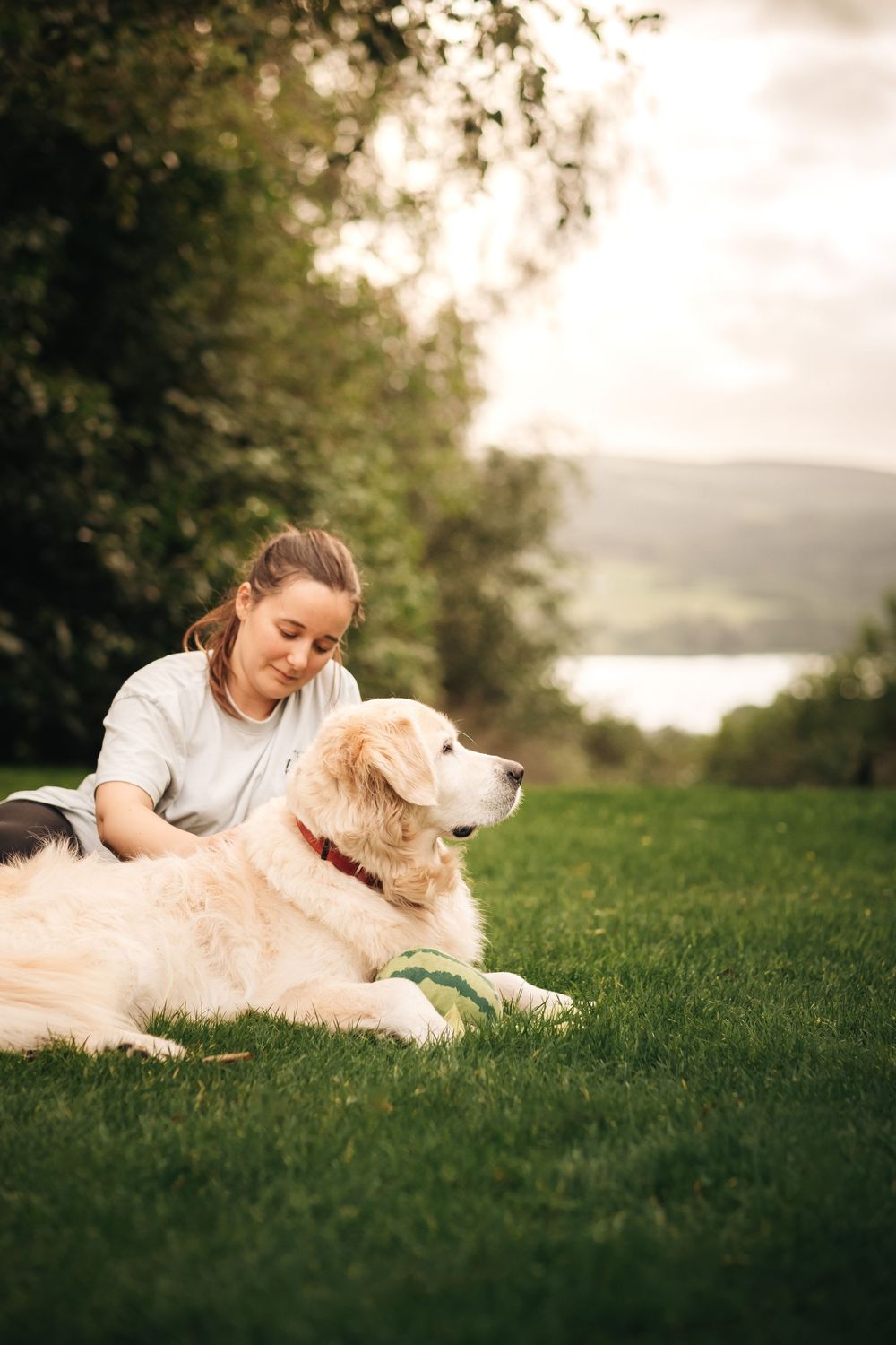 A person lies in the grass bonding with their golden retriever dog during a peaceful sunset in nature.