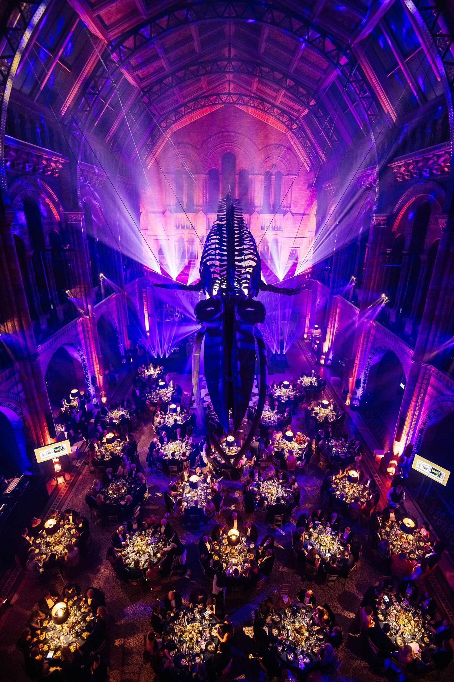 Gothic cathedral venue transformed for dinner with purple lighting and round tables creating dramatic ambiance.