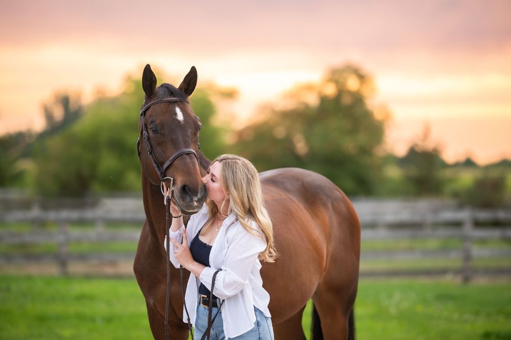 A series of connected photos shows tender moments between a white horse and a woman in natural lighting at sunset.