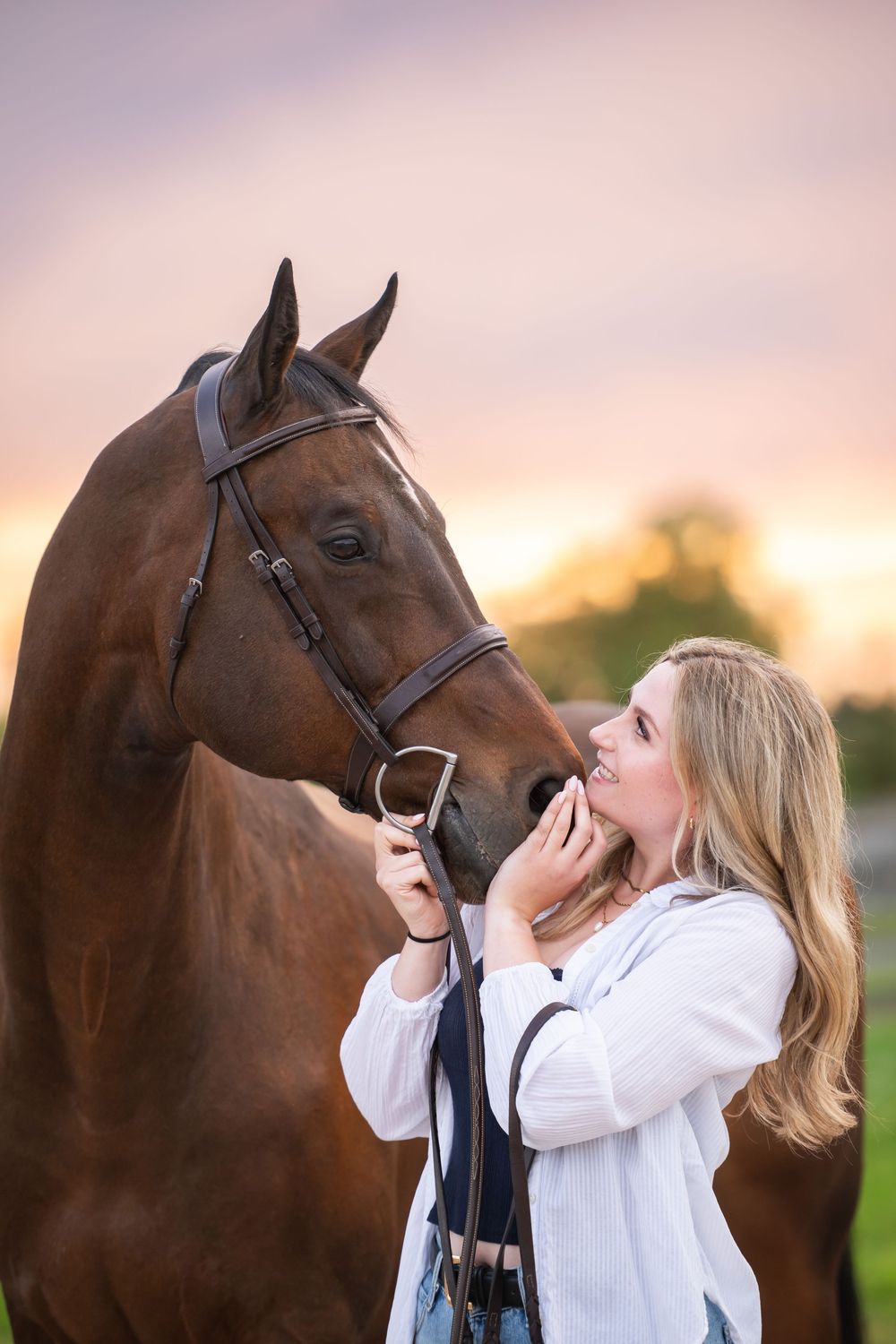 A brown horse stands close to camera with an affectionate moment at sunset in a grassy field.