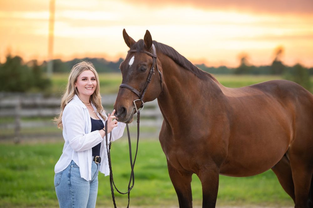 A series of warm sunset photos showing horses being led through a grassy meadow at dusk.