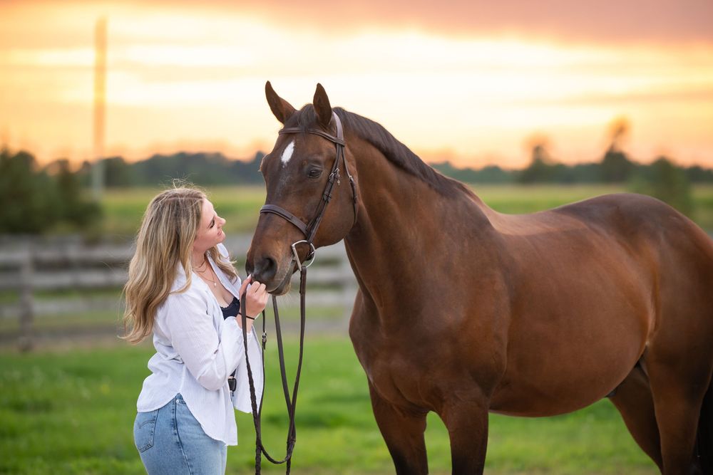 Golden sunset illuminates a bay horse and woman in white blouse at a stable.