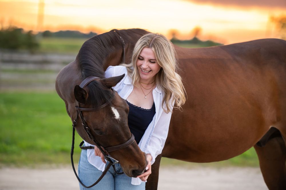 A brown horse and companion sharing an affectionate moment at sunset in a grassy field.