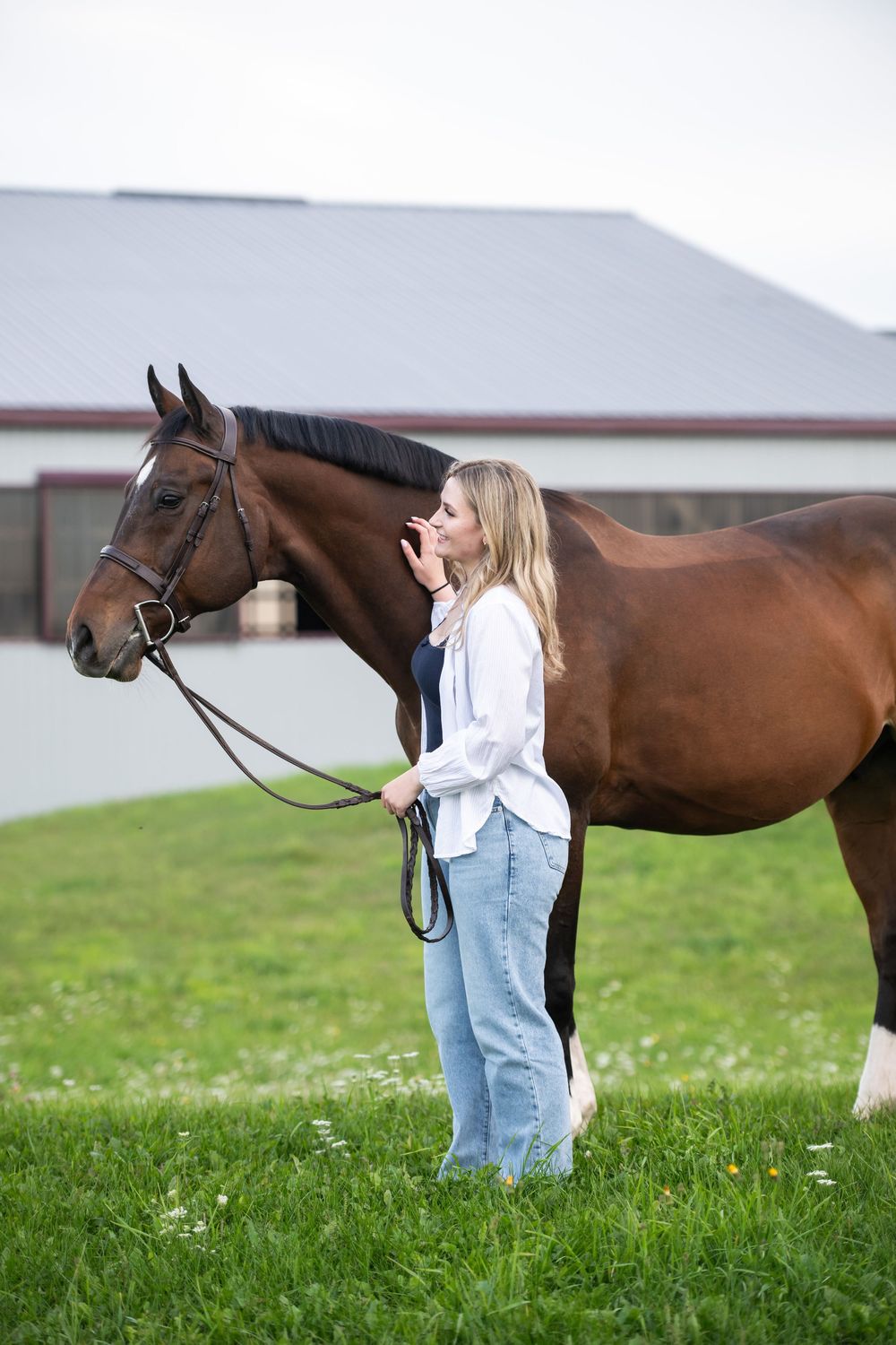 A bay horse and person share a tender moment in a grassy meadow with white wildflowers.