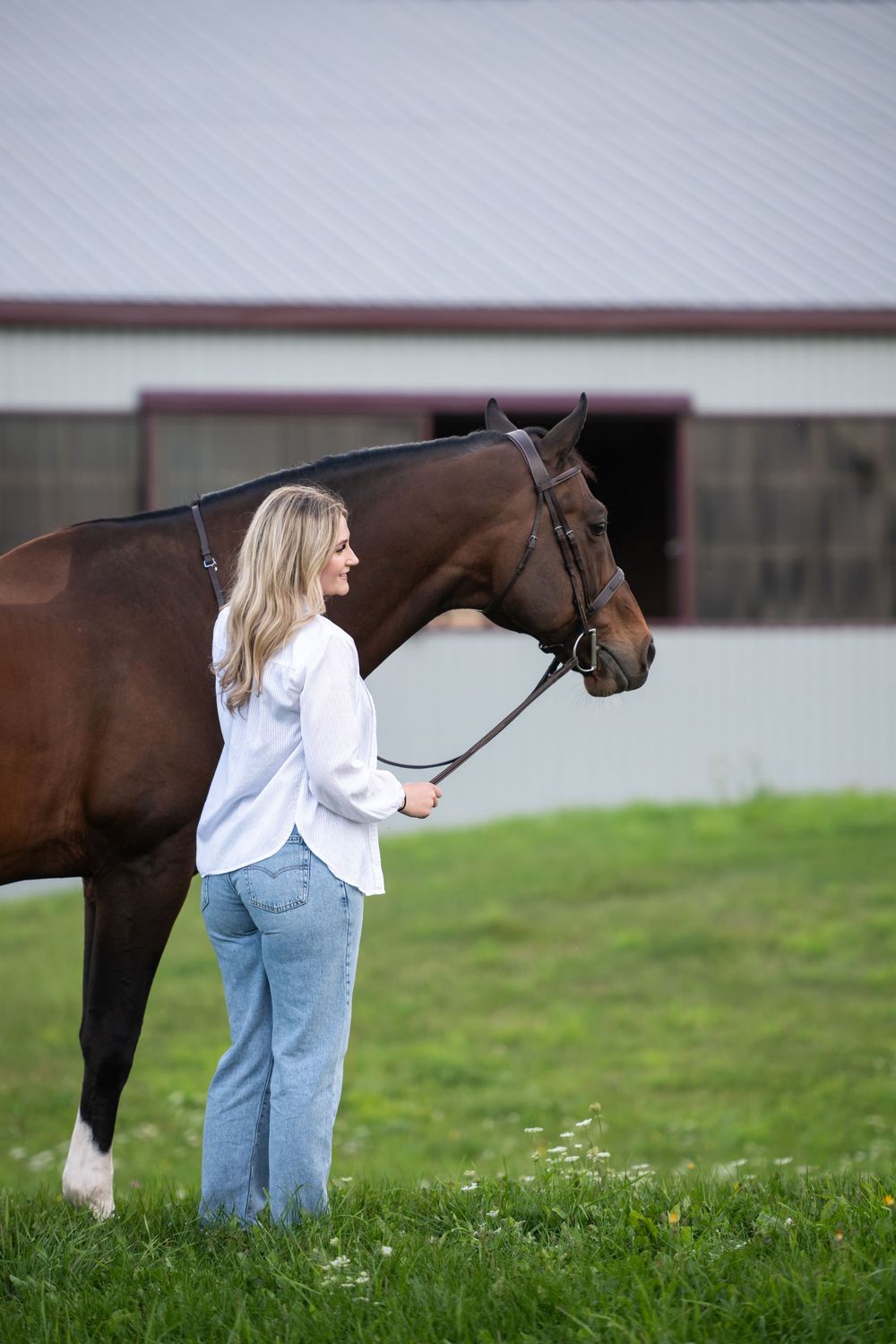 A person in a white shirt and jeans interacts with a dark horse in a grassy field.