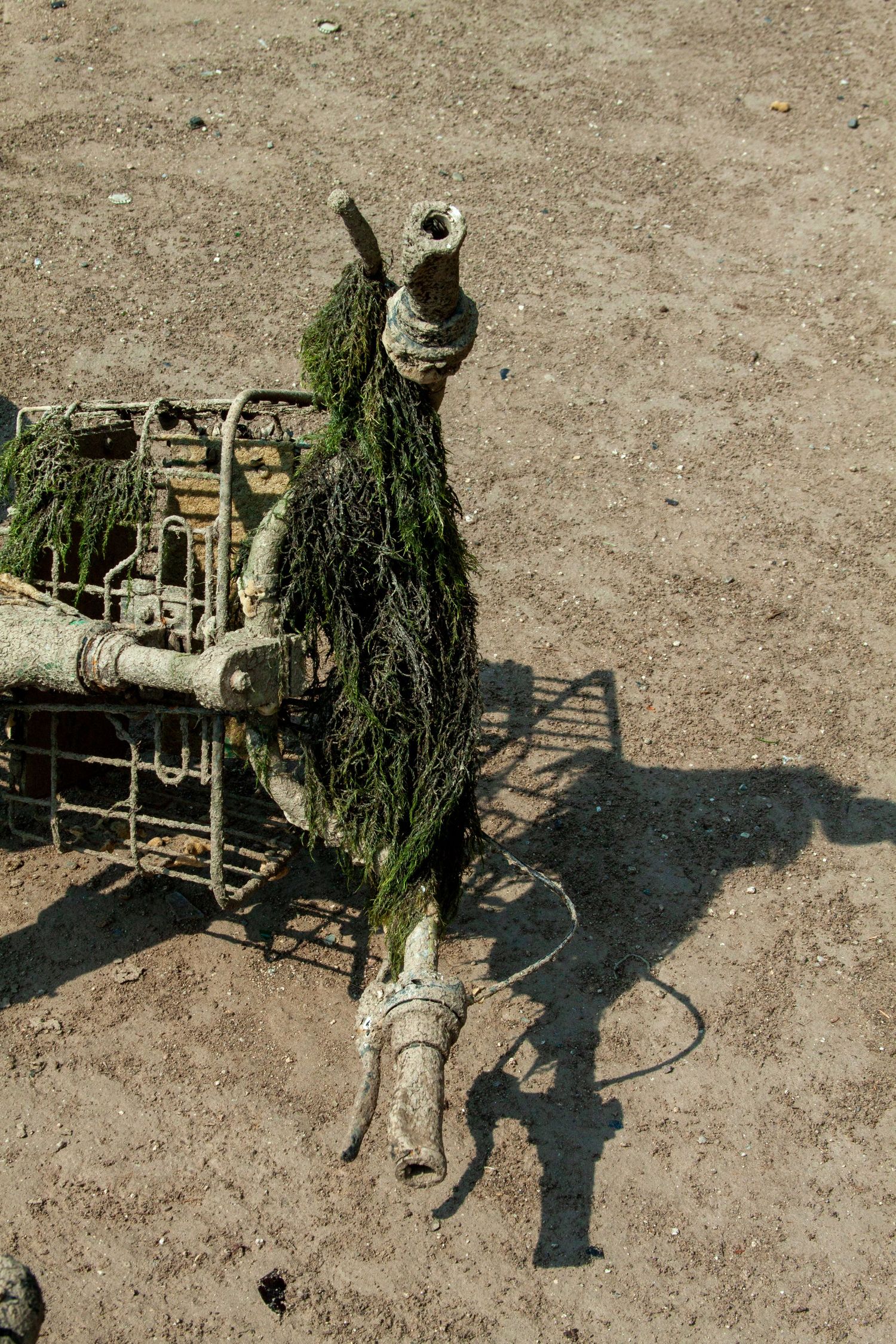 A sniper in ghillie suit camouflage settles into position with rifle on barren ground.