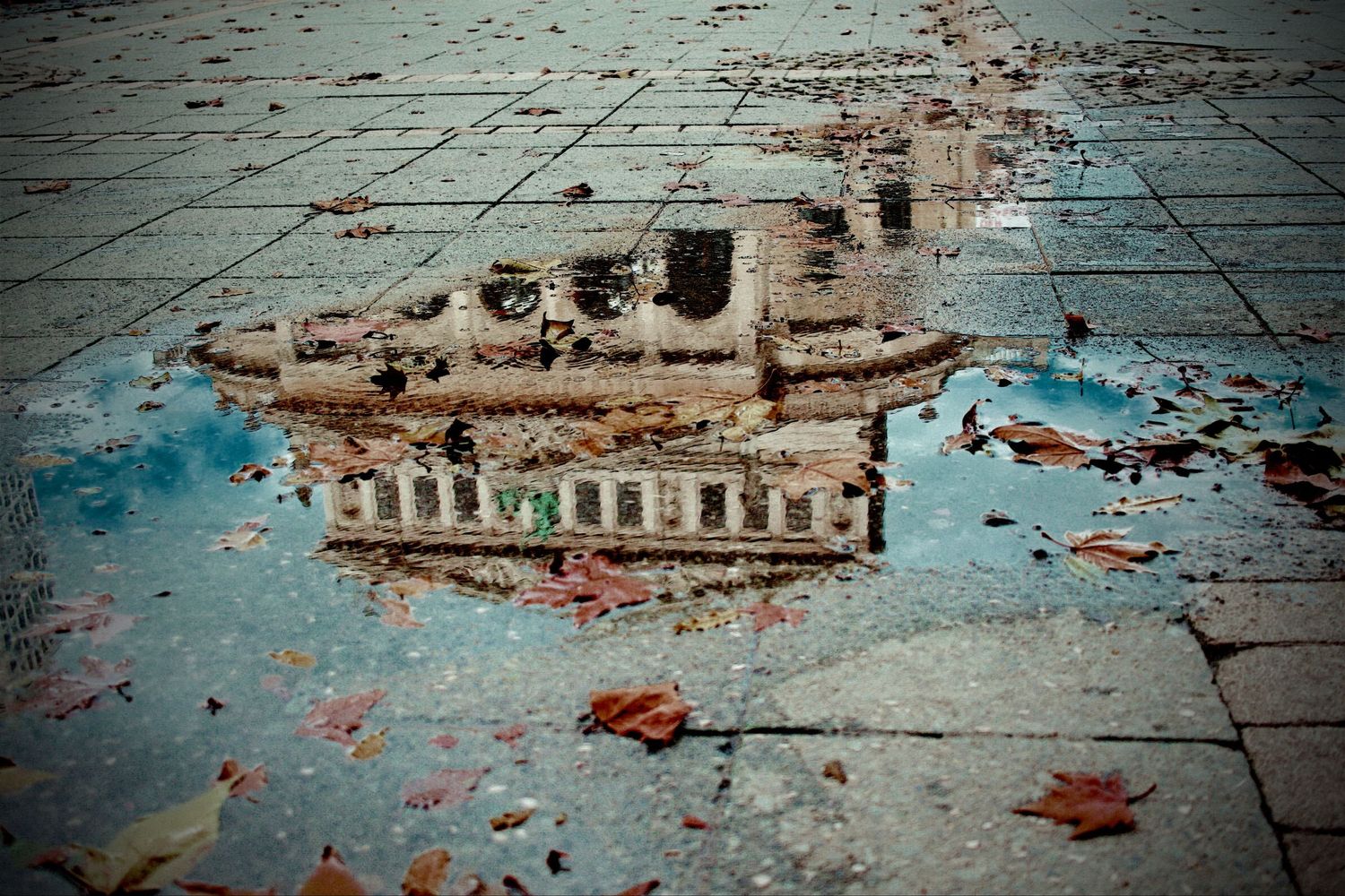 A series of damaged buildings and debris scattered across a flooded street after a natural disaster.