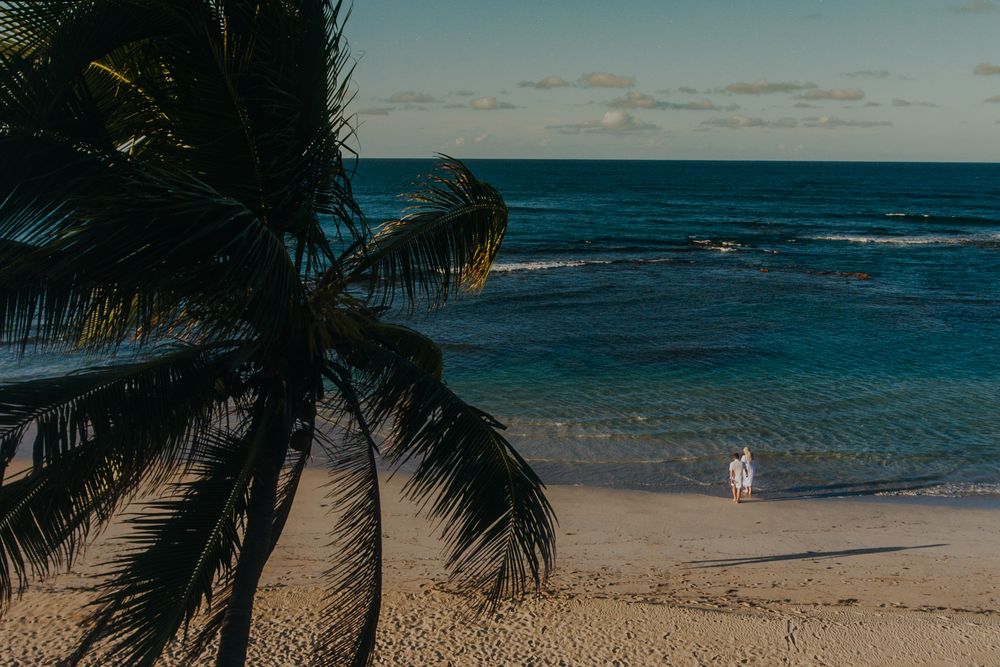 Palm trees and rocky coastline frame a stunning blue ocean view on a sunny Hawaiian beach.