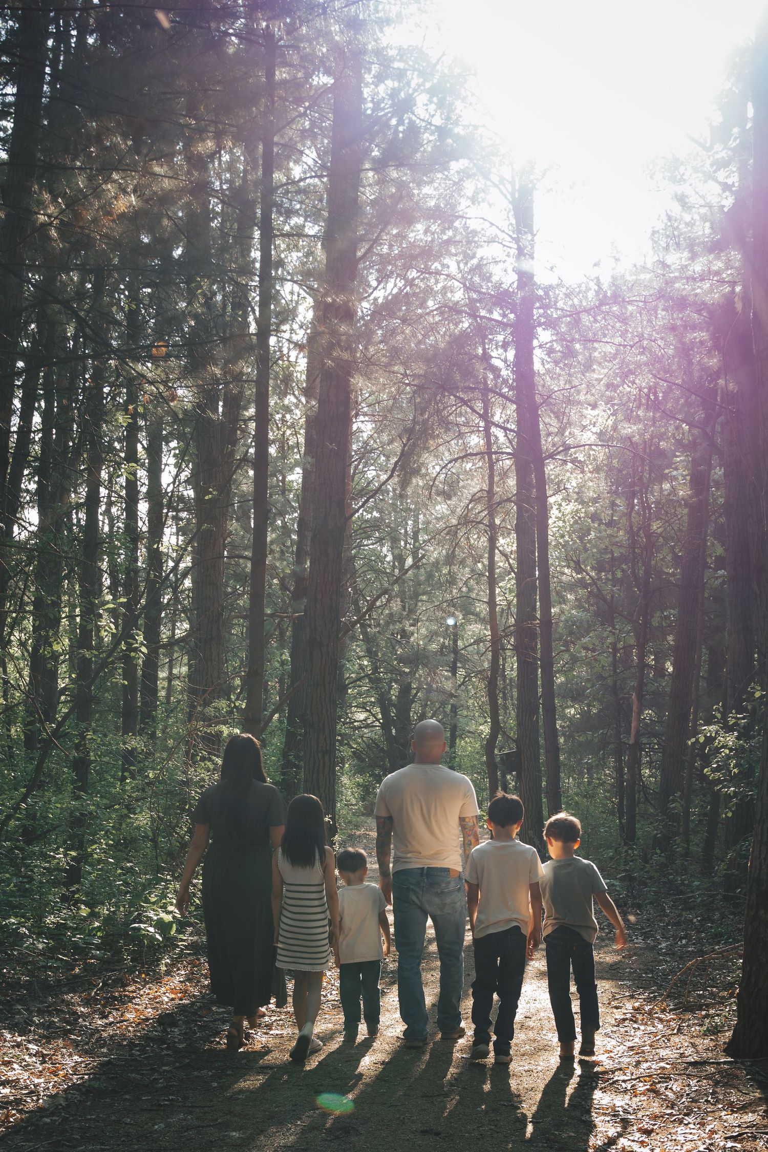 A silhouetted family walks together through a sunlit forest path.