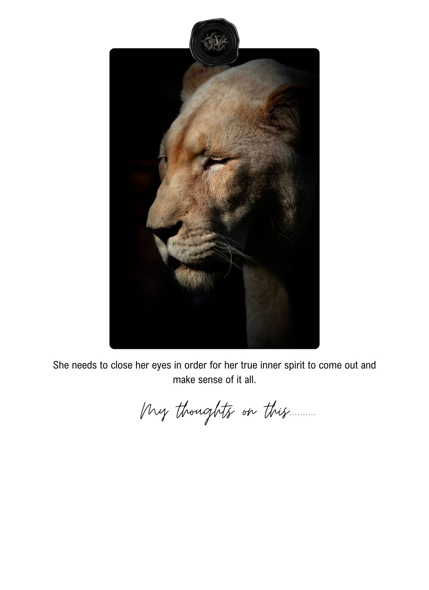 A lioness's profile emerges from darkness with dramatic side lighting, accompanied by text about inner strength.