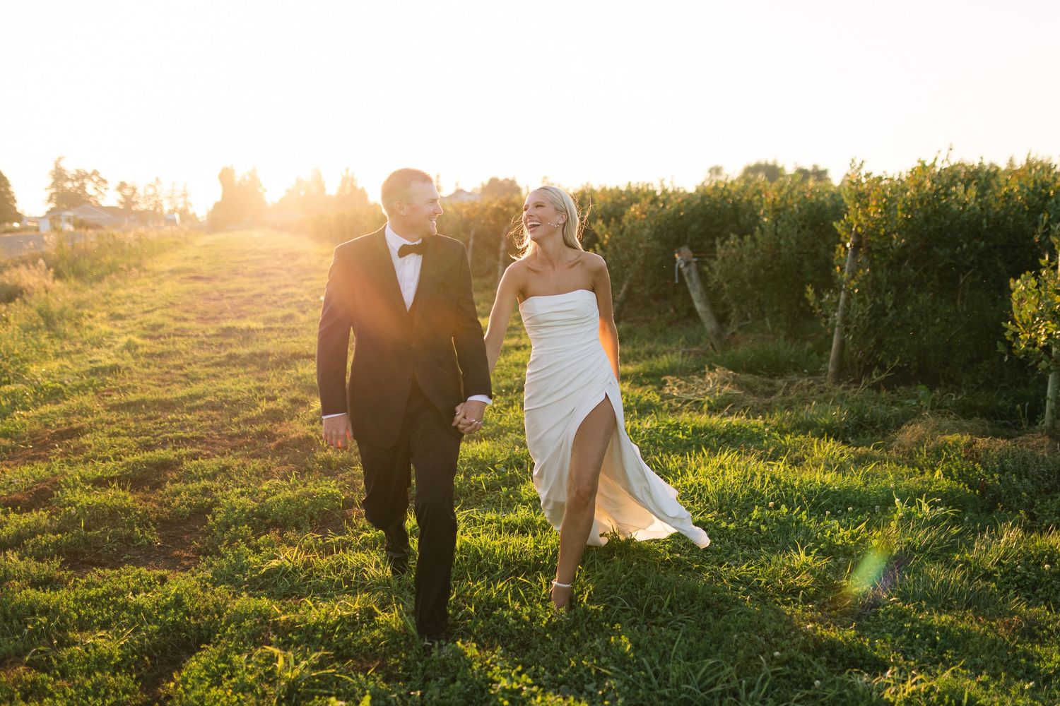 Two silhouettes walk hand in hand through a grassy meadow at sunset creating a romantic atmosphere.