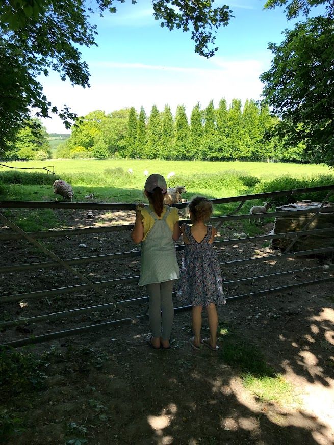 Two people stand at a wooden fence overlooking a scenic green countryside with tall trees in the distance.