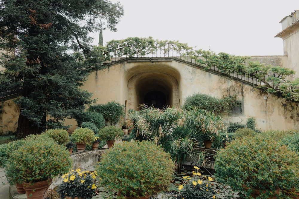 Romantic garden entrance with climbing vines and yellow flowers surrounding an arched doorway.