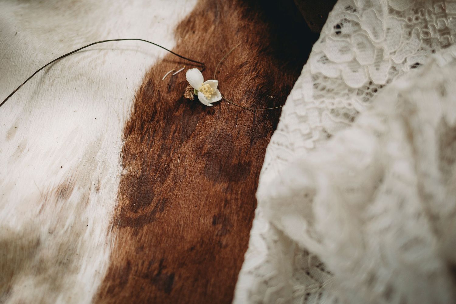 detalhes de casamento ritualístico em Leiria Portugal , flor branca em cima tapete couro vaca