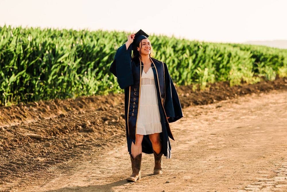 Person walks through lush green cornfield at sunset casting long shadows on rural farm path.