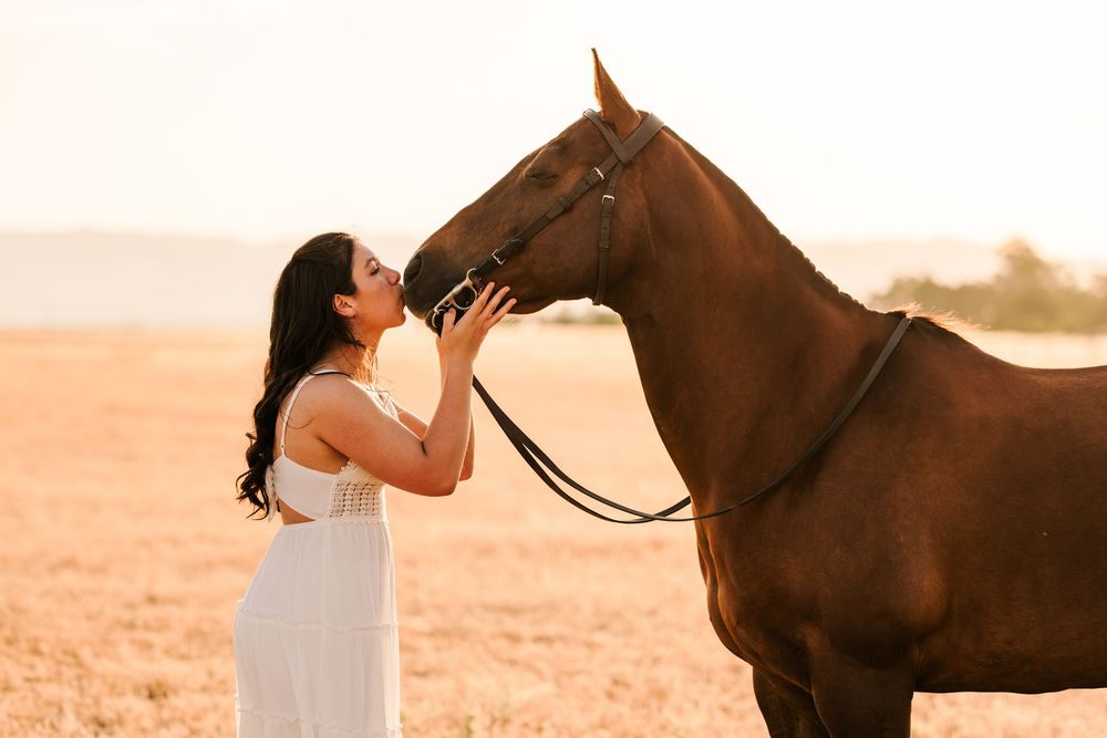 Elegant desert photo session with horses at sunset captures romantic moments in warm golden light.