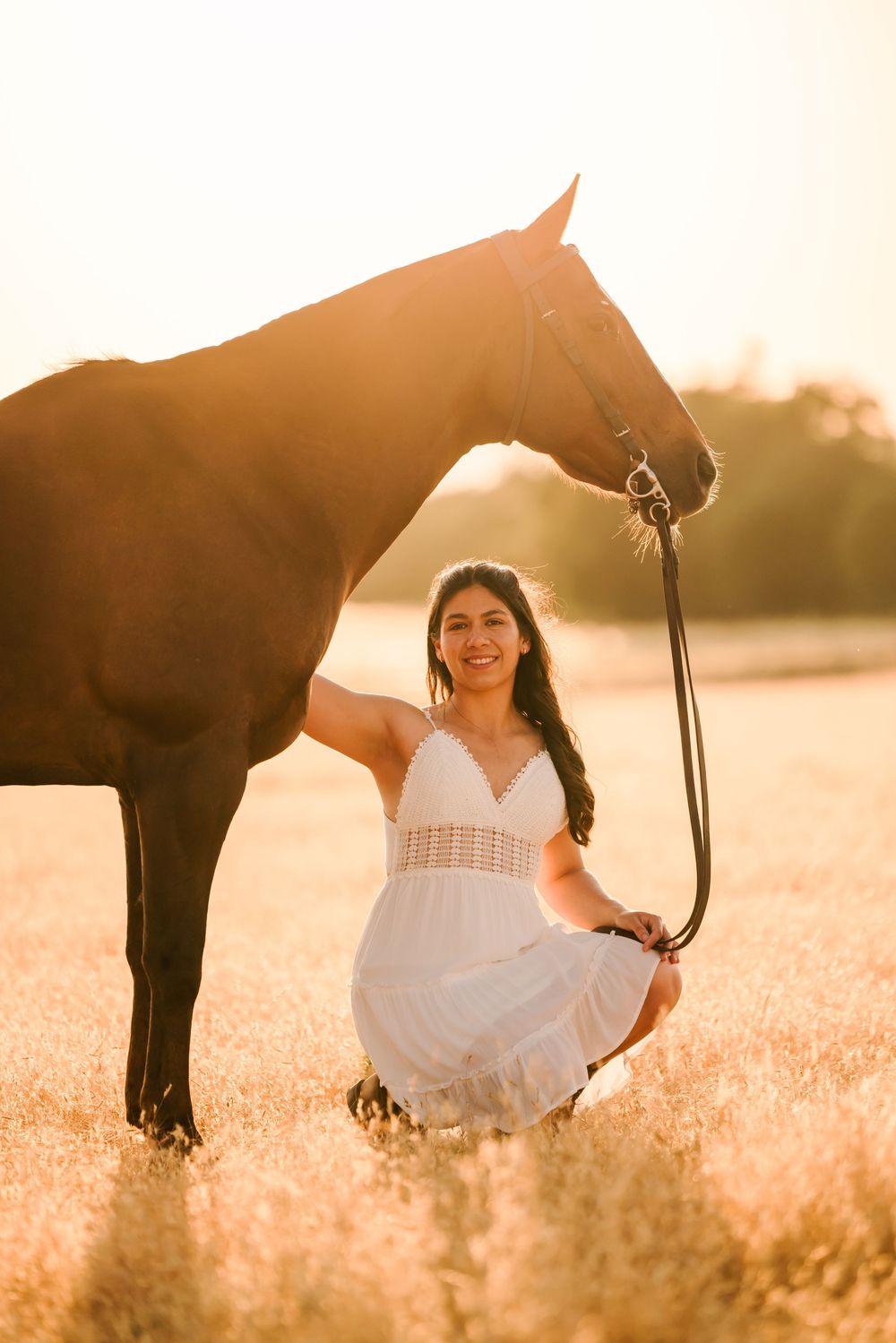 A woman in a white dress sits gracefully in a sunlit field next to a dark horse during golden hour.