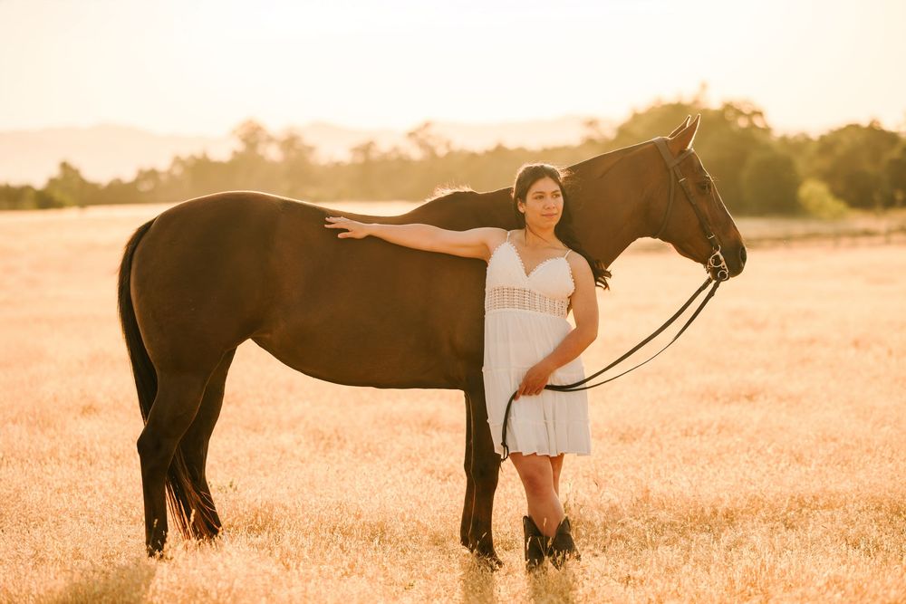 A person in a white dress stands in a golden field at sunset with a black horse.