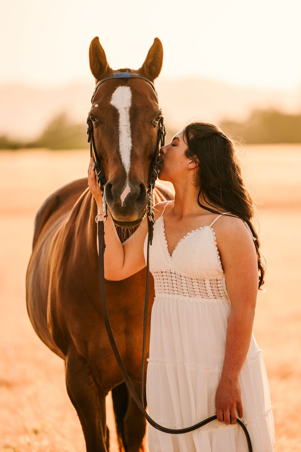 A bay horse with white blaze and rider in white dress share an intimate moment at golden sunset in a field.