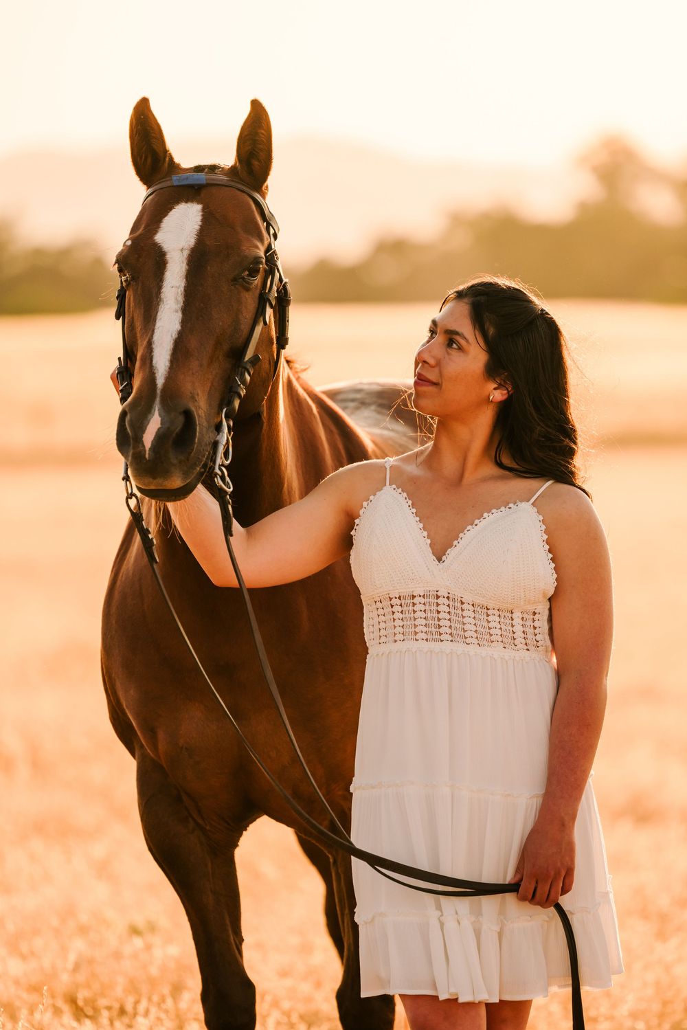 A rider in a white dress poses with a dark brown horse in a sun-drenched field at golden hour.