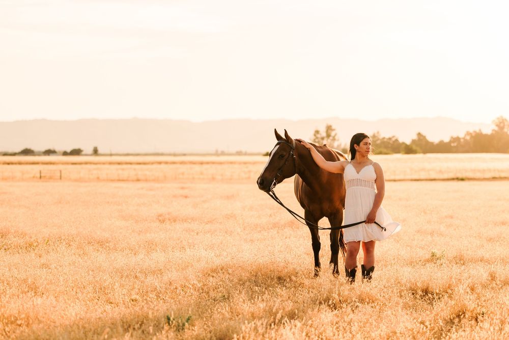 Horse and person stand together in golden wheat field during warm summer sunset.