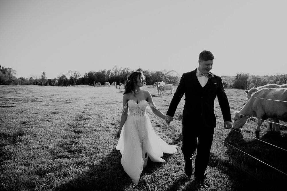 Newlyweds walking hand in hand through a sunny field.