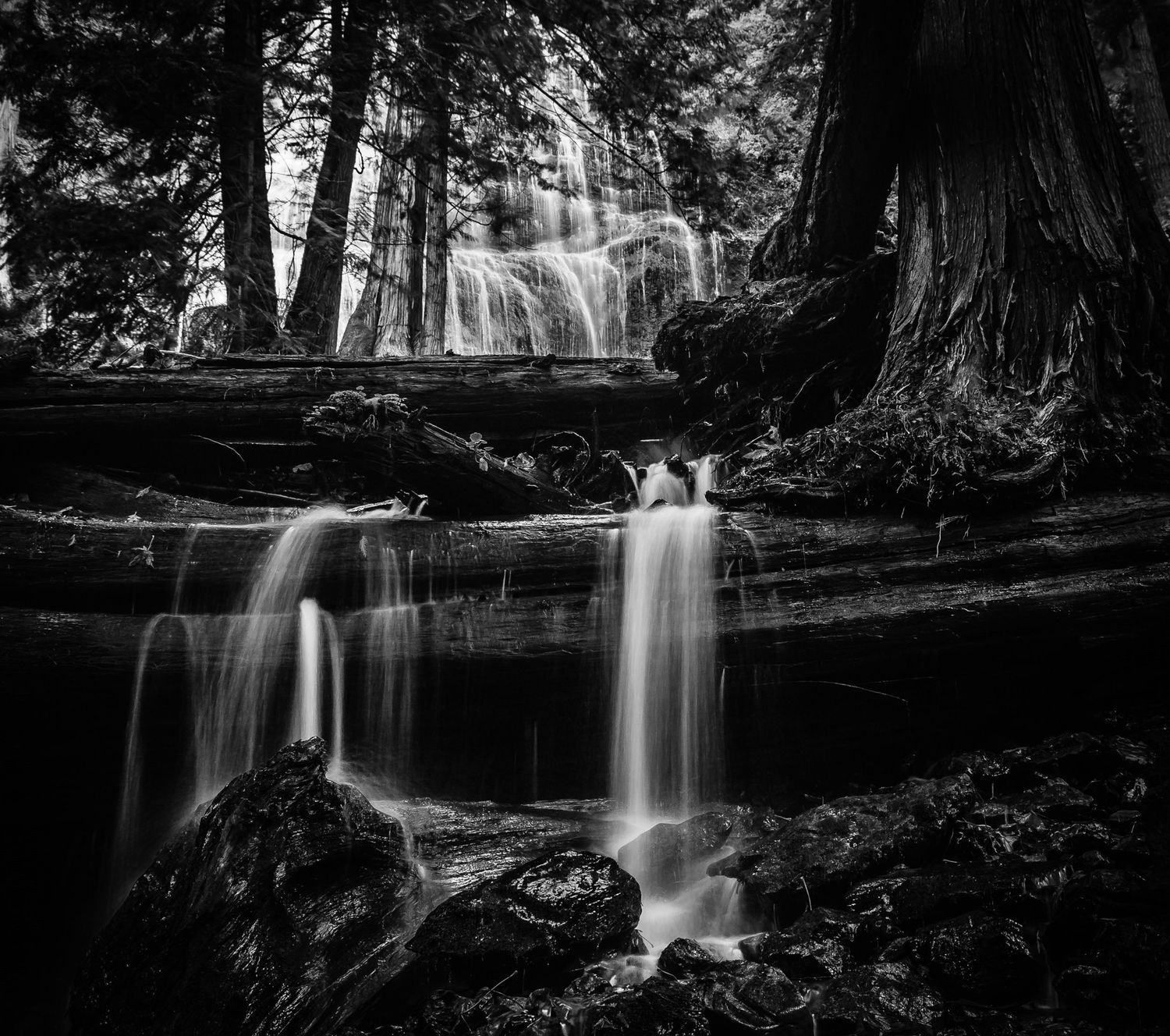 Bridal Veil Falls Park, British Columbia