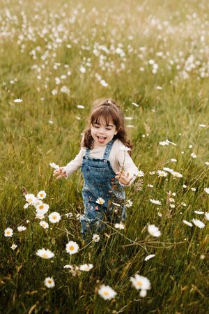 Child in denim overalls playing among blooming white daisies in field.