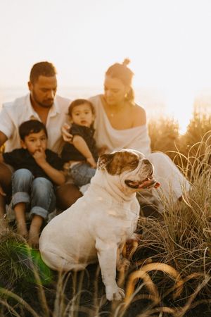 A white dog joins a family moment in tall grass during sunset.