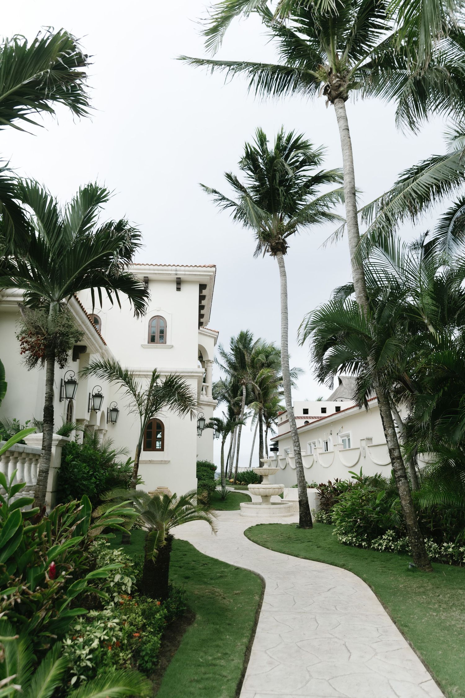 A winding white pathway leads through tropical palm trees to a Mediterranean-style white stucco building.
