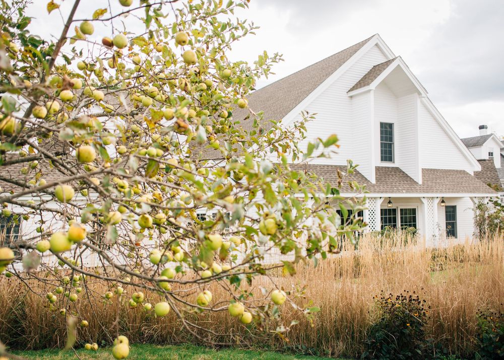 White farmhouse style home with yellow apple tree blossoms in the foreground against cloudy sky.