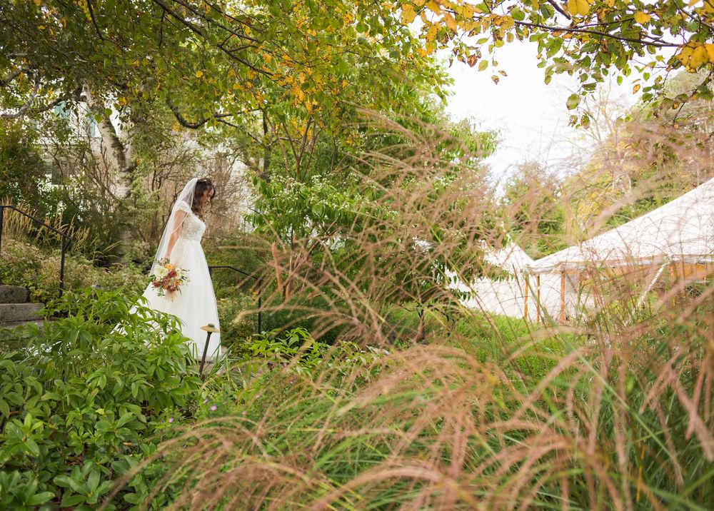 A panoramic view of a lush garden with tall grasses and trees swaying in the autumn breeze.