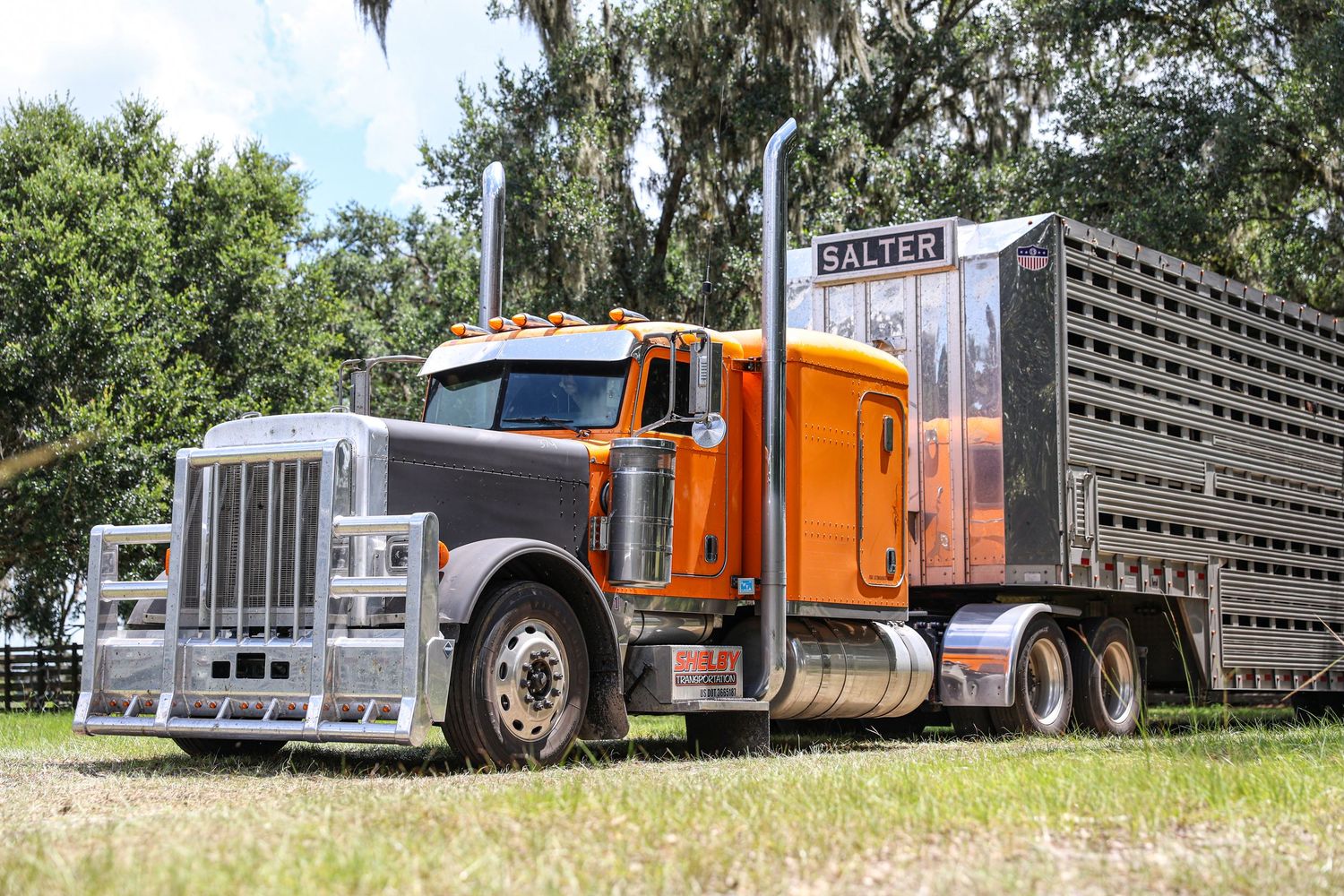 Orange and chrome Peterbilt semi truck with livestock trailer parked on grass under trees.