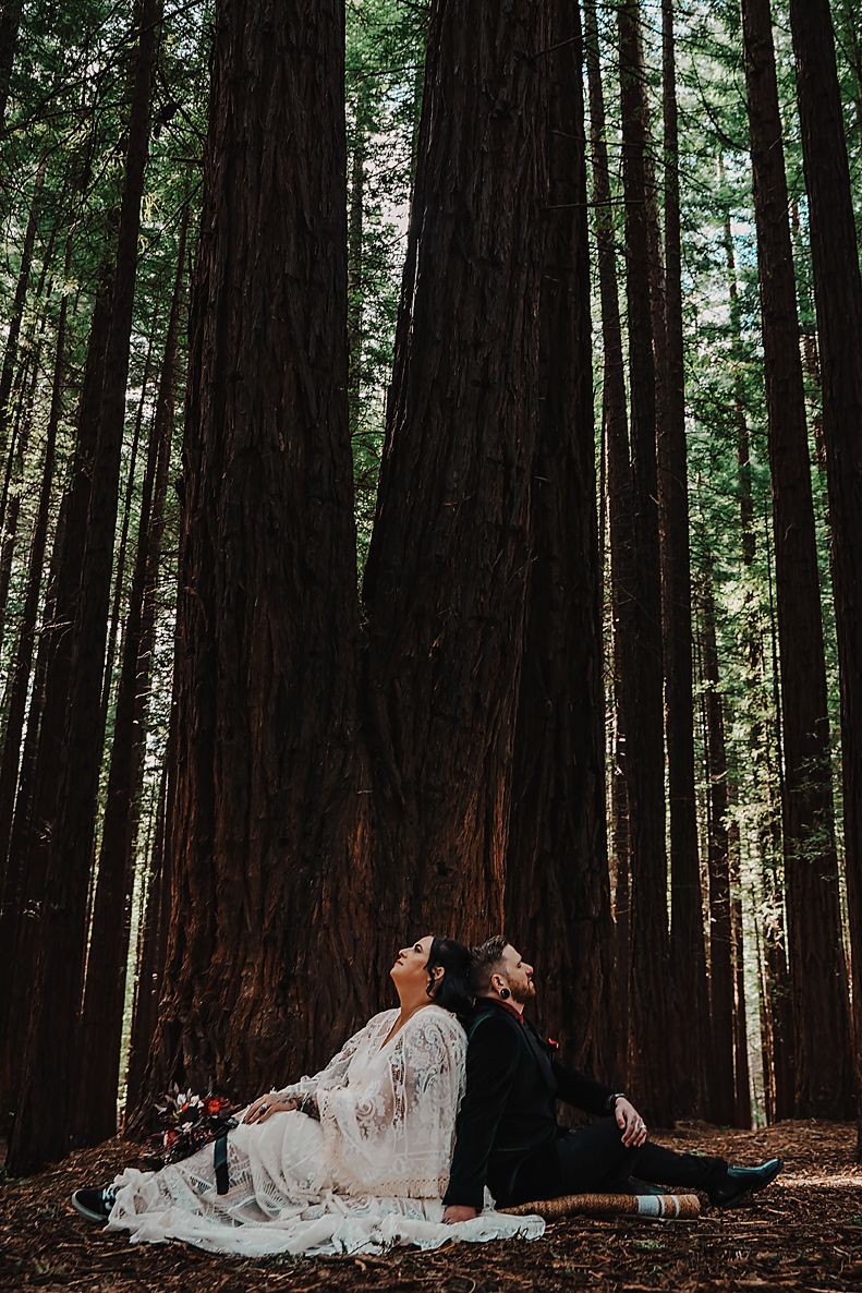 A couple in wedding attire rests among towering redwood trees in a moody forest setting.