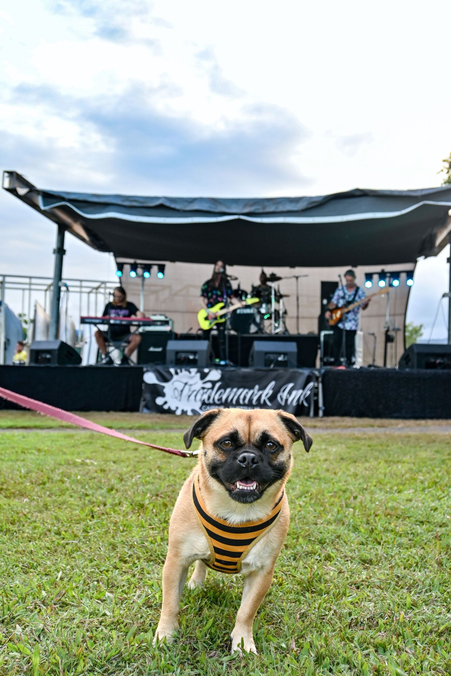 event candid photography