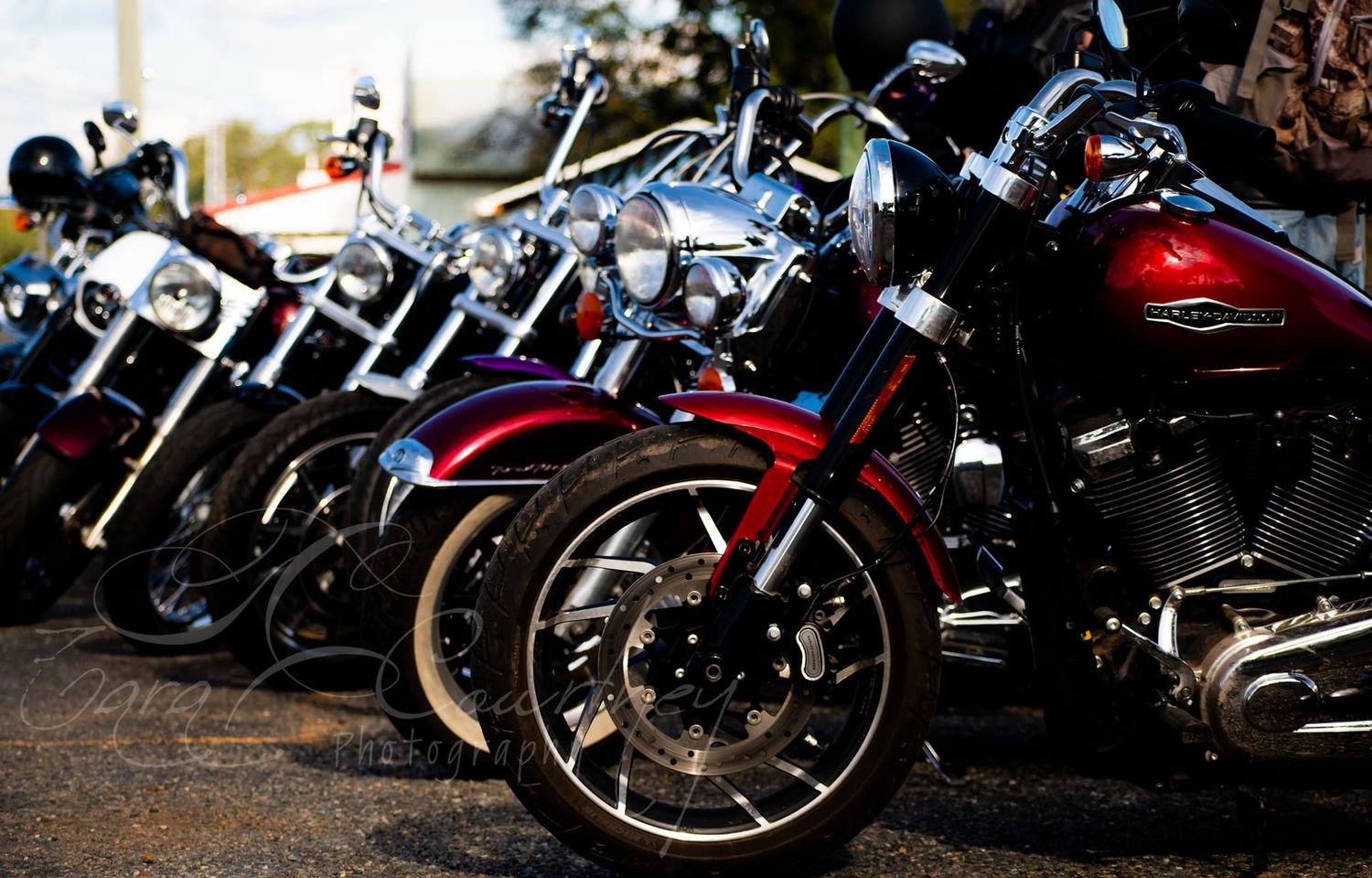 Row of parked motorcycles lined up at night showing multiple chrome and painted bikes on stands.