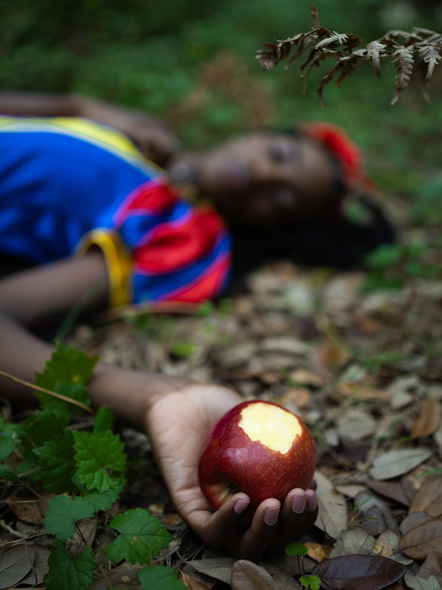 Hands holding a bitten red apple on forest floor covered in fallen leaves.