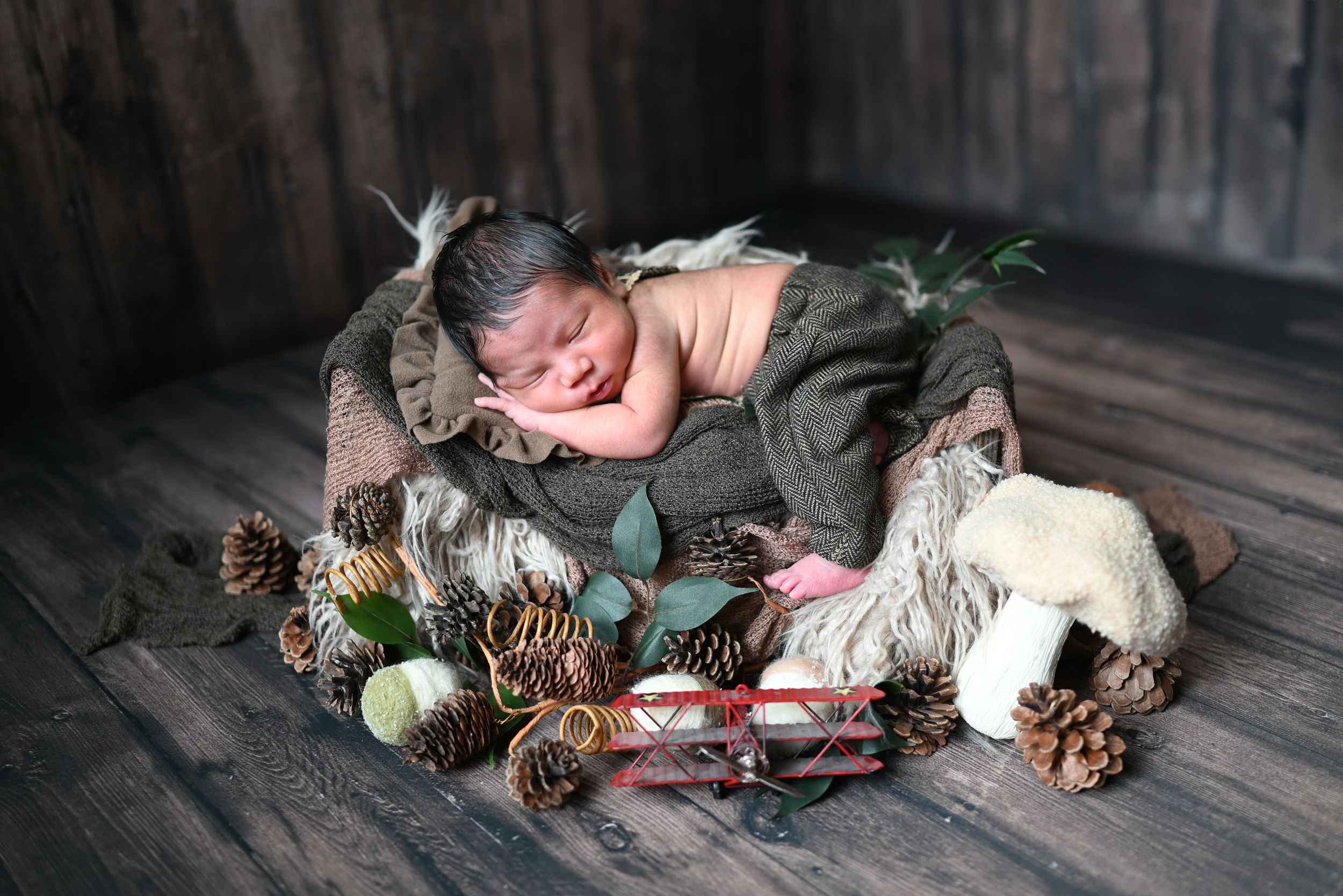 A peaceful autumn scene with pine cones, gourds and soft textiles arranged on dark wooden flooring.