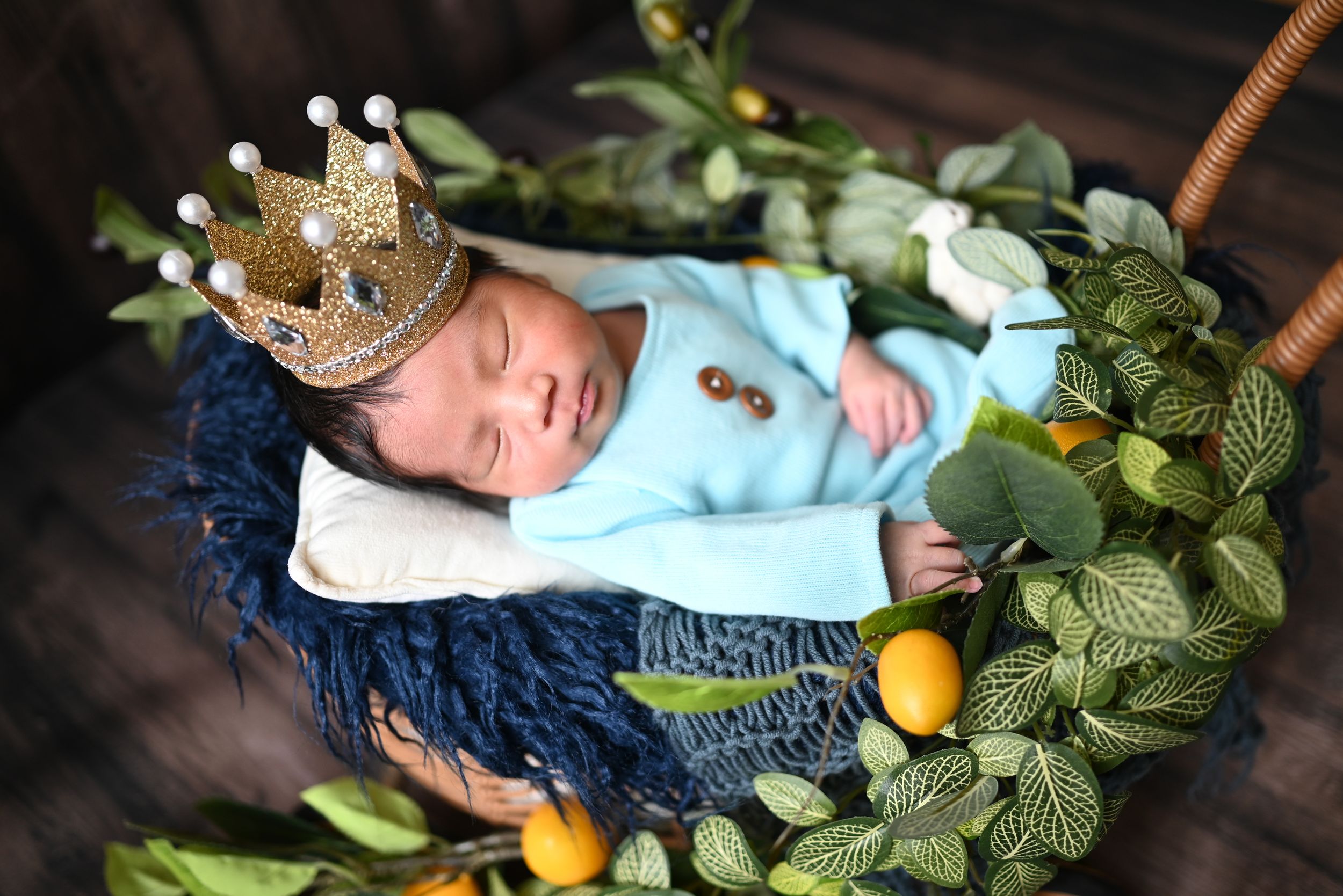 Sleeping newborn wearing a tiny crown rests in a blue basket surrounded by greenery.