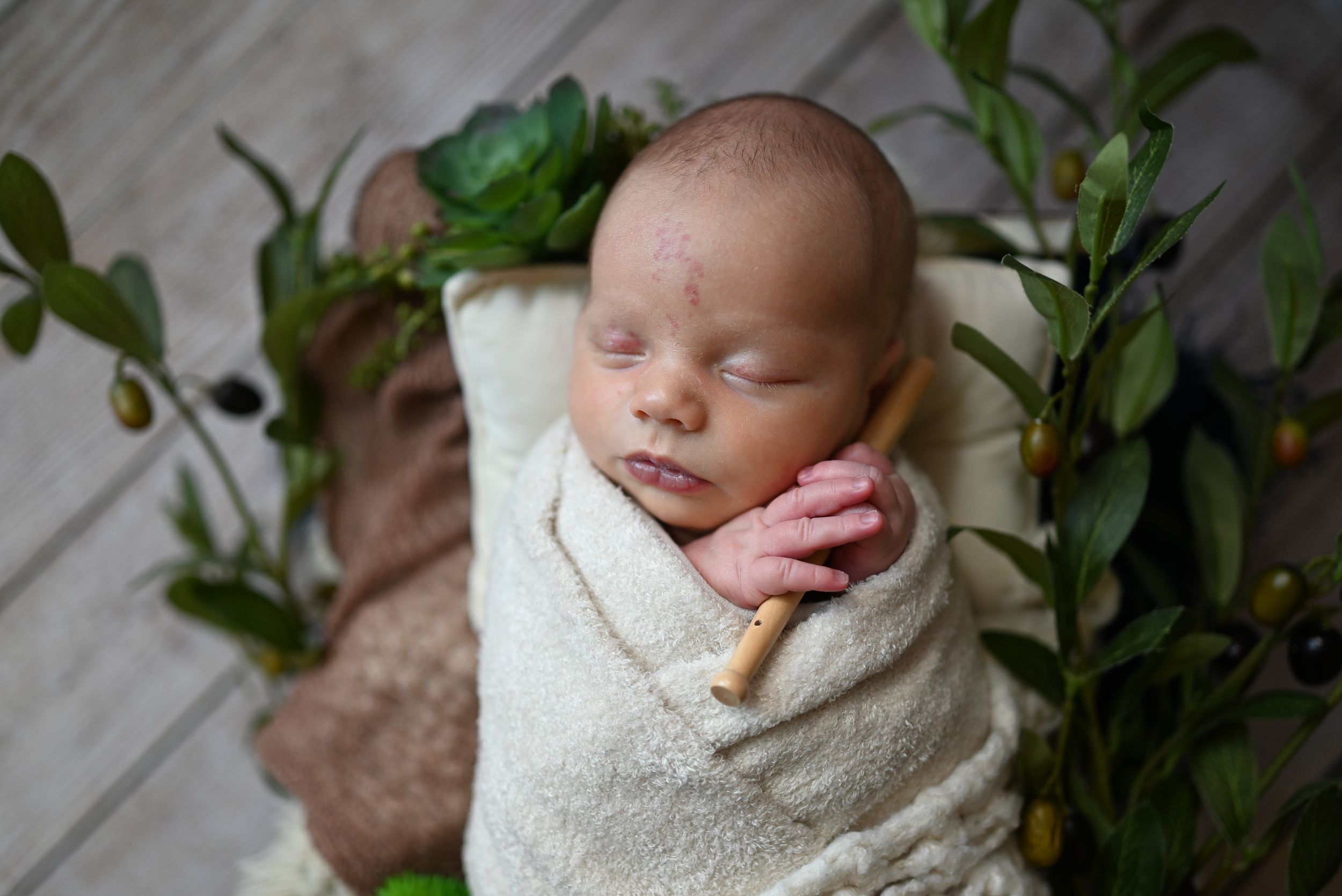 Sleeping newborn wrapped in soft beige blanket surrounded by green foliage and white floor.