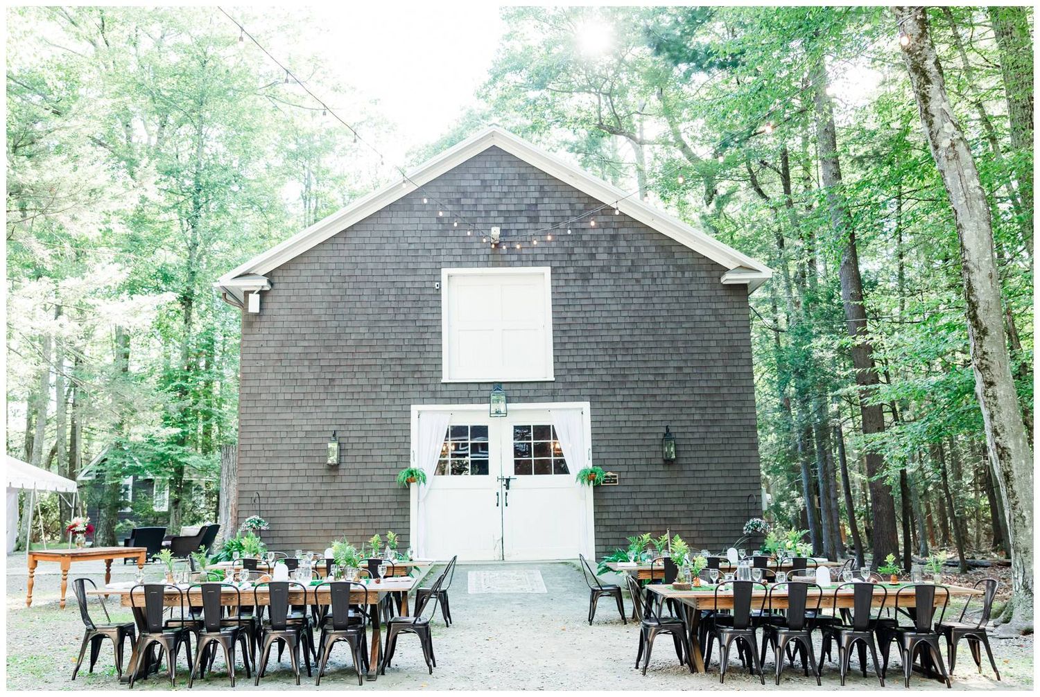 Panoramic view of a rustic outdoor wedding venue with wooden chairs arranged in rows among tall trees.