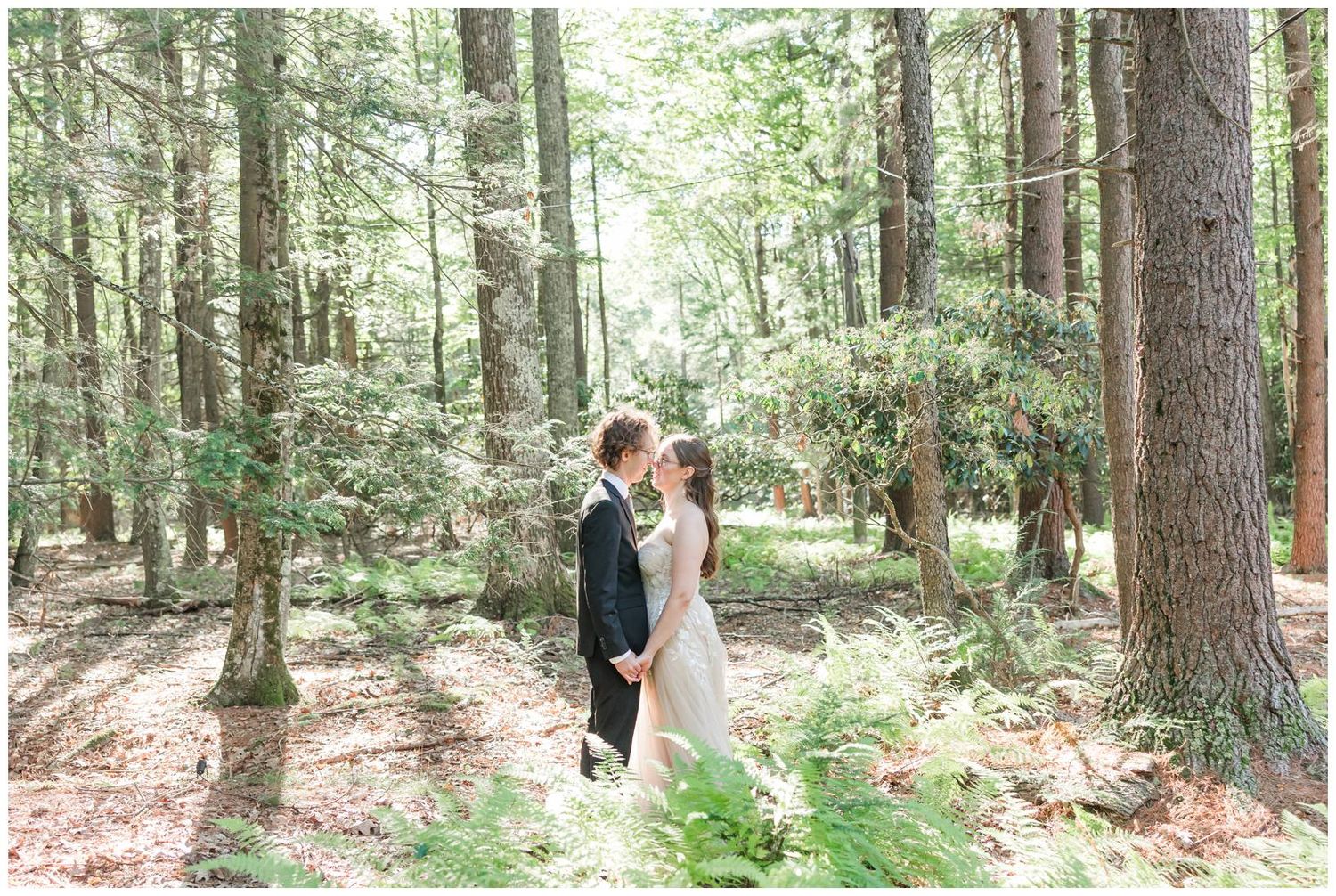 Couple walking through a lush evergreen forest with sunlight filtering through tall trees and green undergrowth.