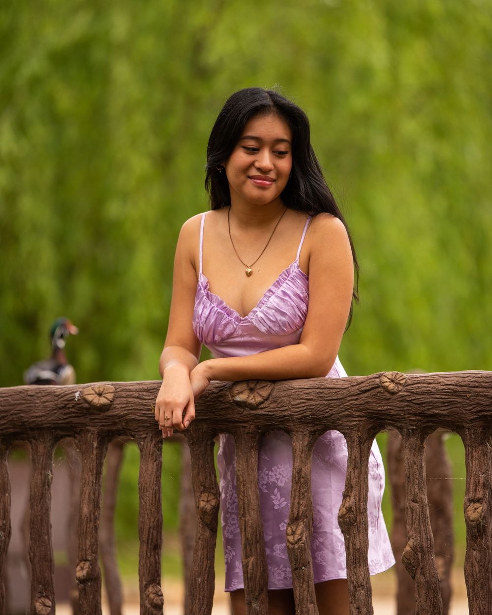 A person in a lavender dress leans on a rustic wooden fence with greenery in the background.