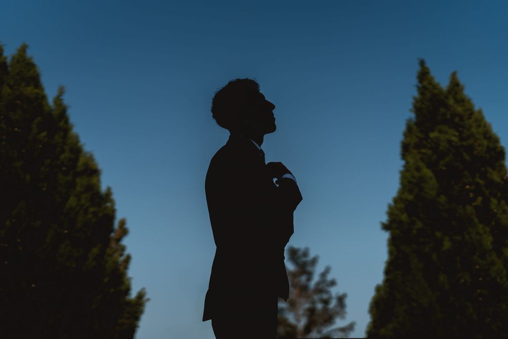 Silhouettes of trees against a blue sky at sunset create a dramatic outdoor wedding scene.