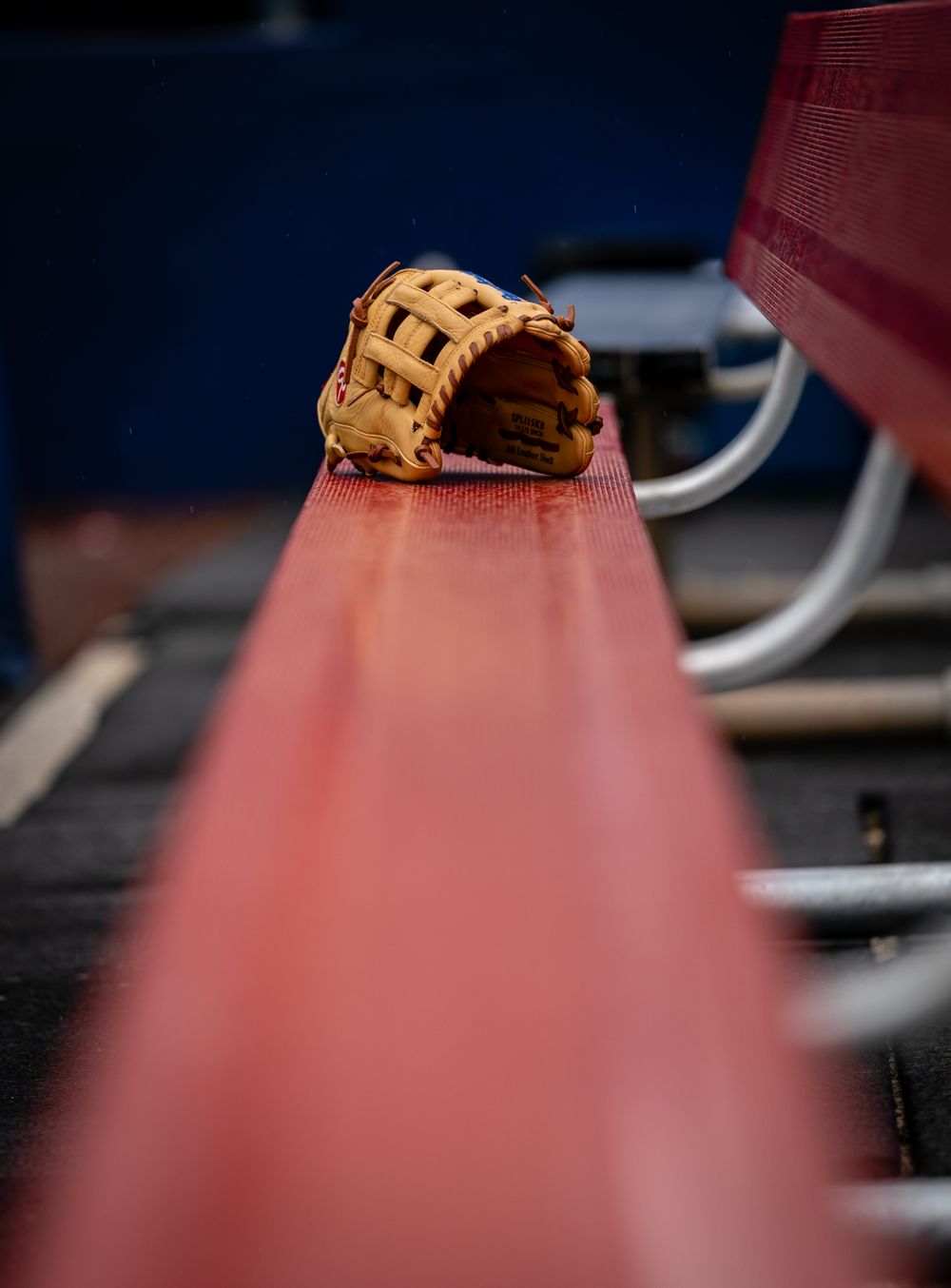 Baseball Glove