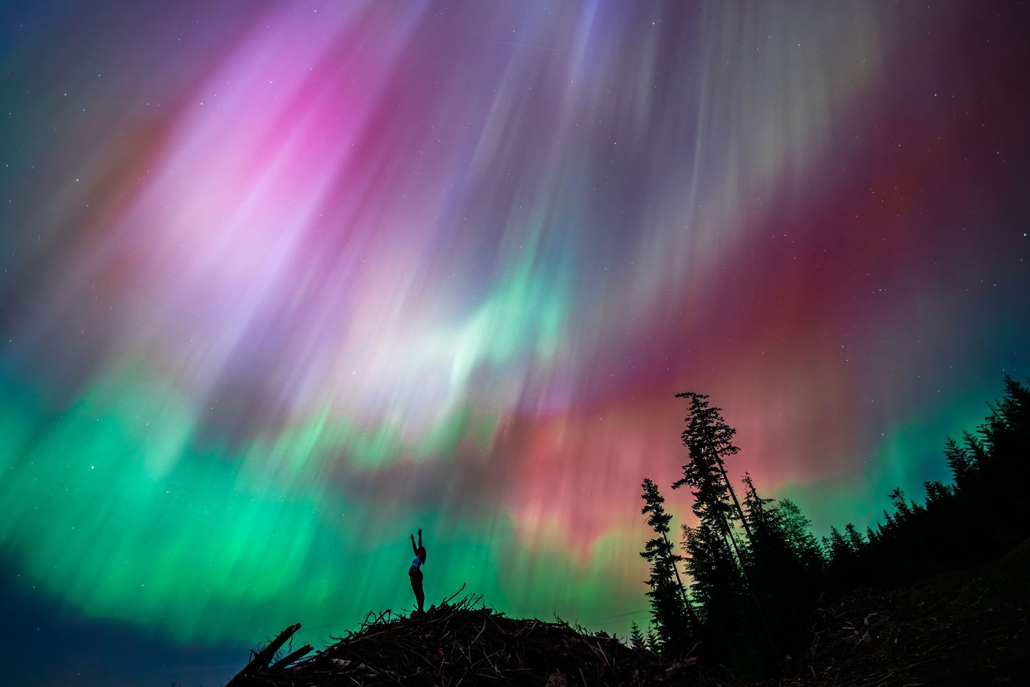 A silhouetted person stands on a hill beneath vibrant pink and green aurora borealis dancing in the night sky.