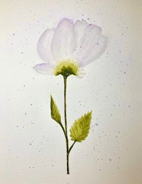 Simple and elegant white poppy flower painted in watercolor with delicate green stem and leaves.