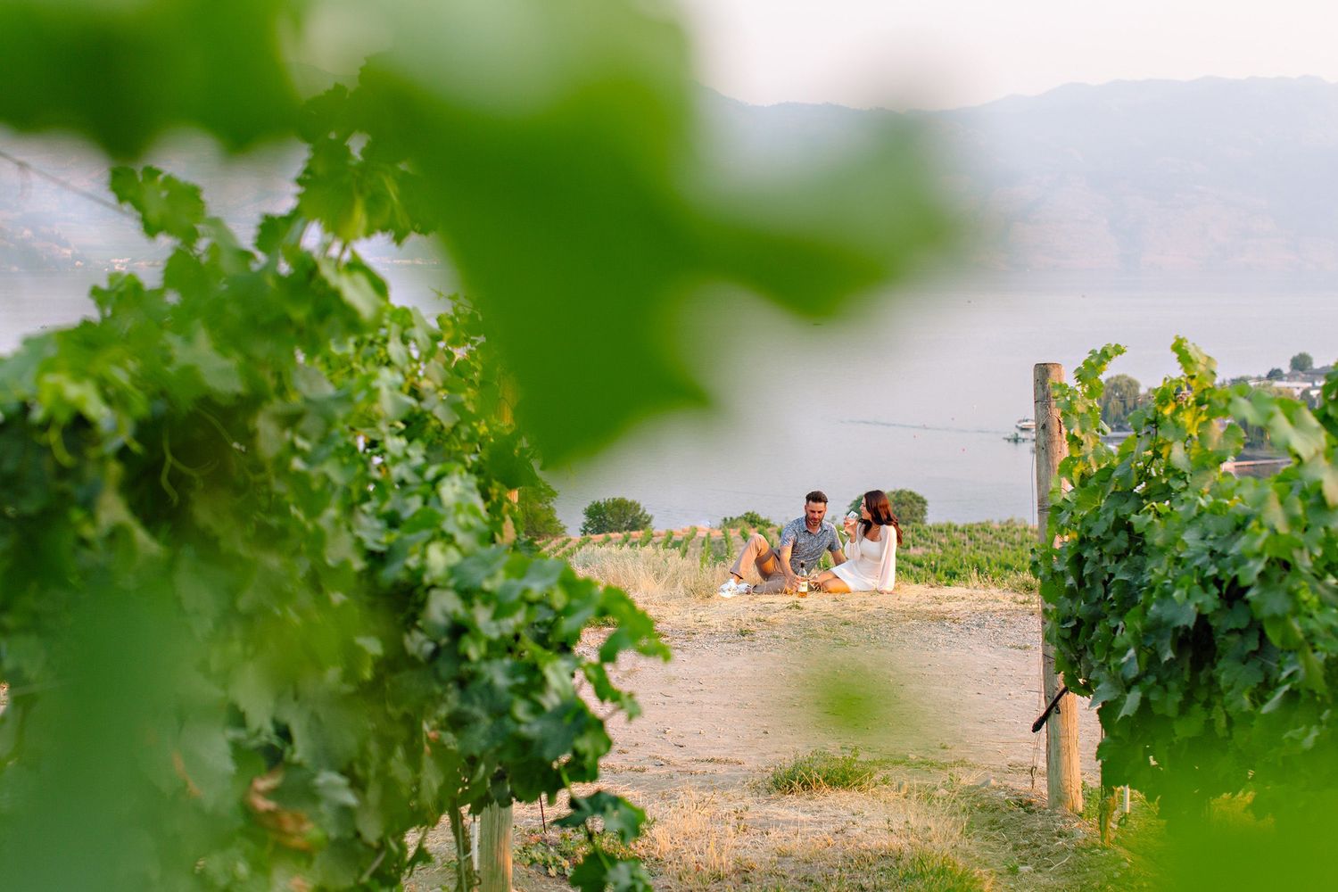 couple enjoying wine in vineyard