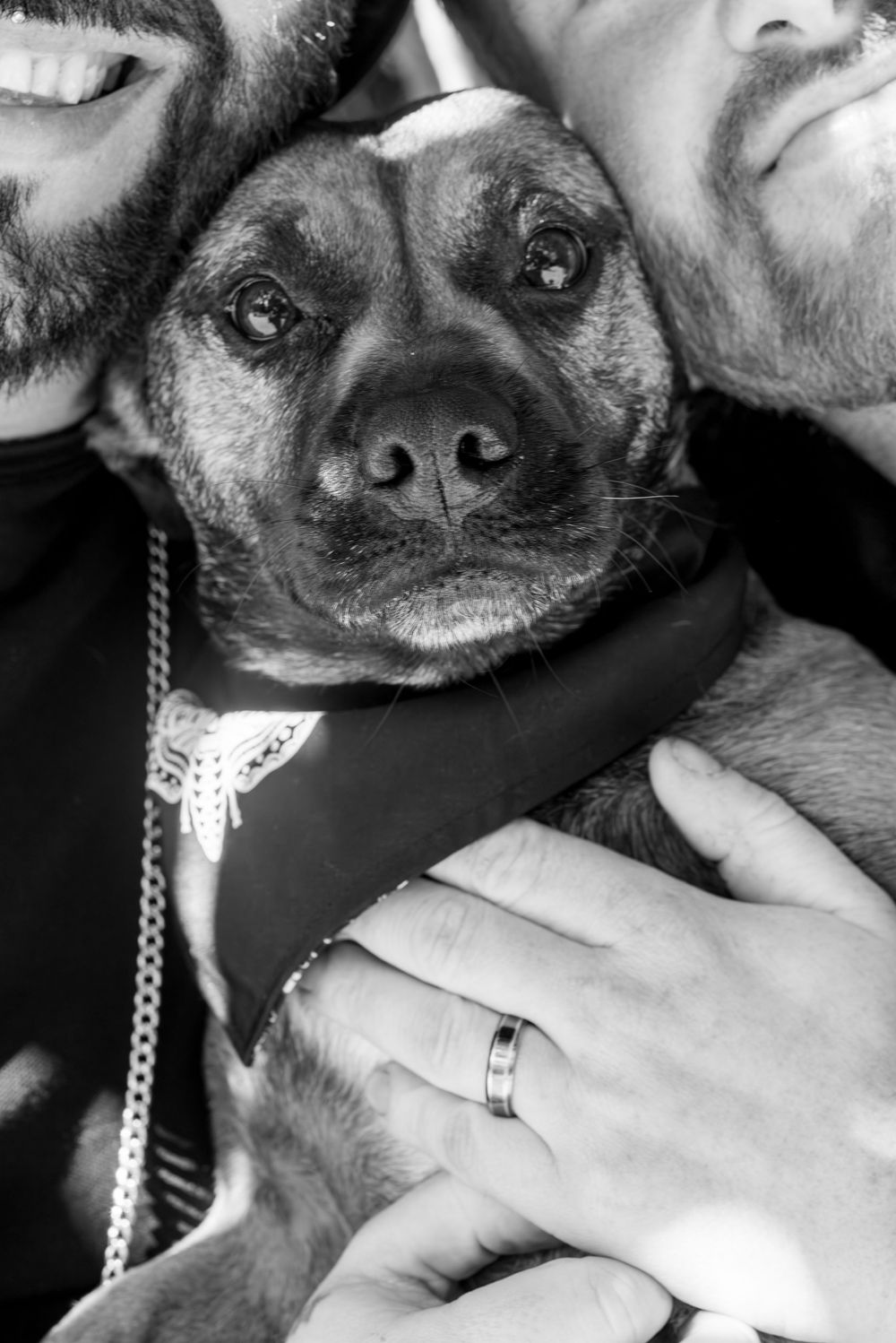 Close up of a happy dog with a black bandana sandwiched between two smiling faces.
