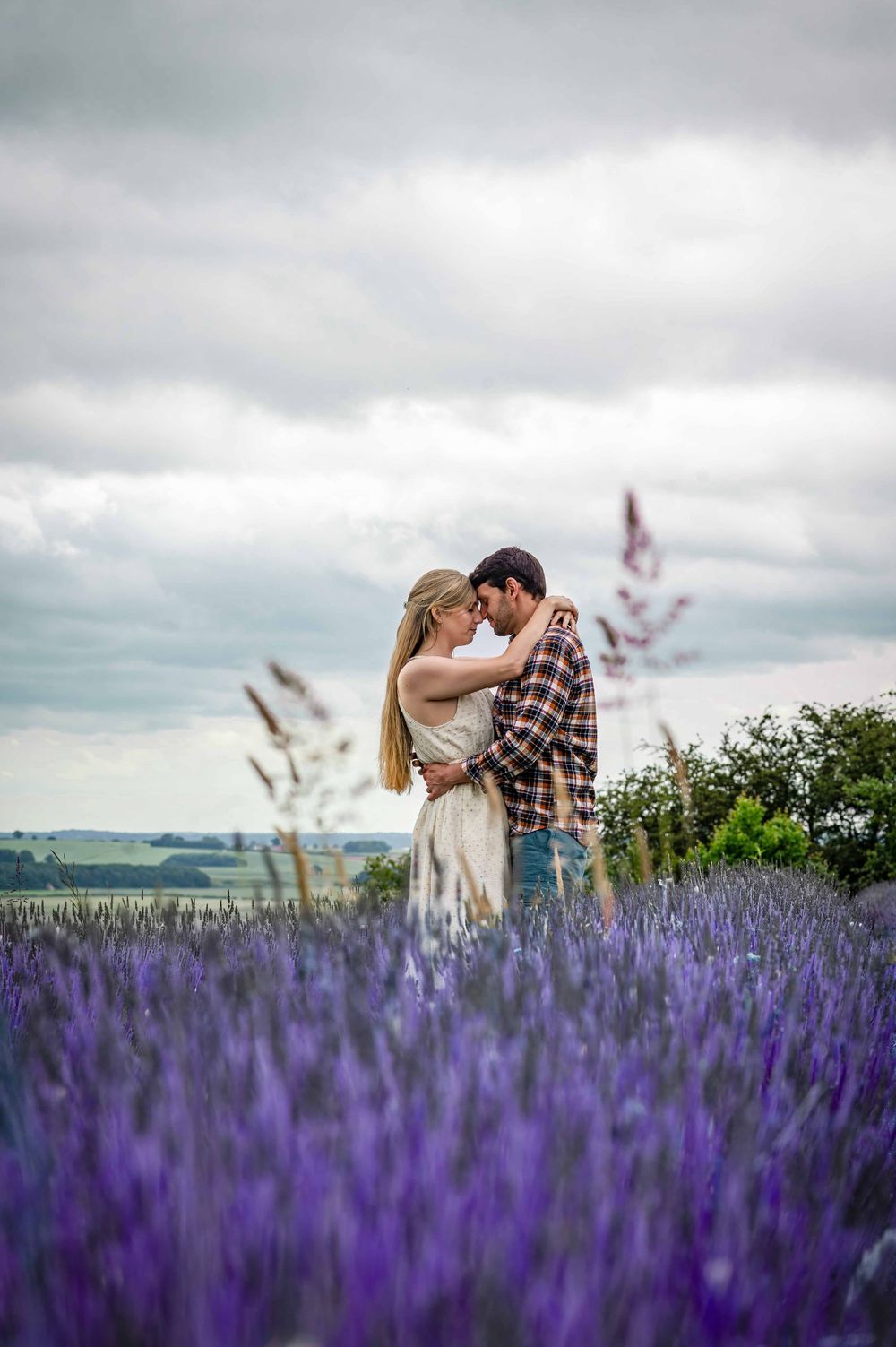 A romantic couple embraces in a blooming purple lavender field under cloudy skies at sunset.